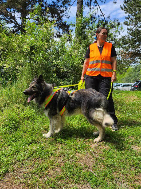 Mantrailing (info et prix)